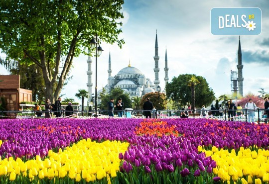 Фестивал на лалето в Истанбул: 2 нощувки и закуски в хотел 4*, транспорт