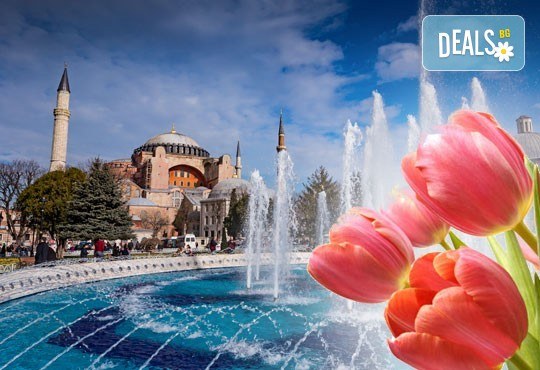 Фестивал на лалето в Истанбул: 2 нощувки, закуски, транспорт, посещение на Одрин и Чорлу
