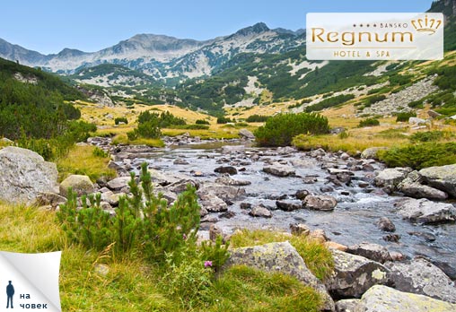 Regnum & Spa - снимка - 19