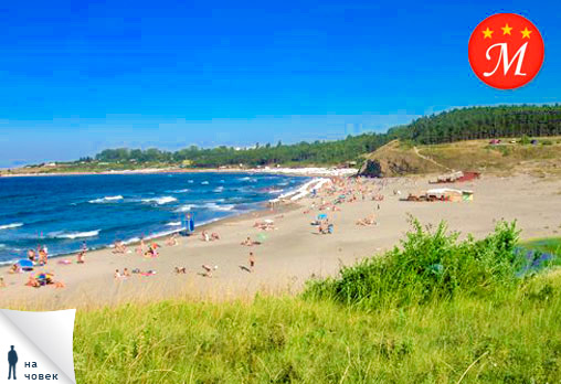 Мимоза - Снимка