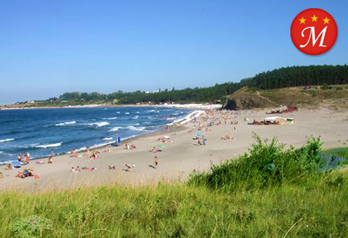 Мимоза 3* - снимка - 13