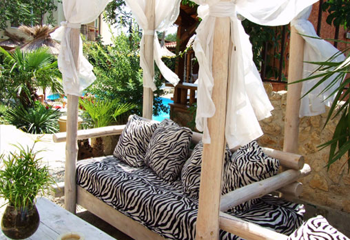 Тропикана 3* - снимка - 11