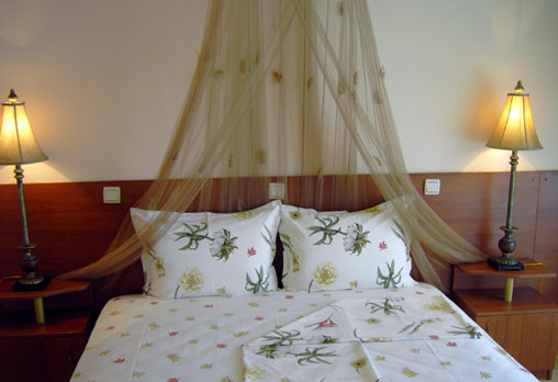 Тропикана 3* - снимка - 5