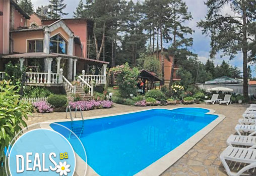 Кълвачеви - Снимка