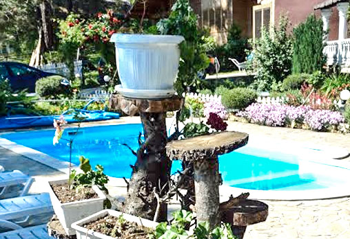 Кълвачеви 3* - снимка - 10