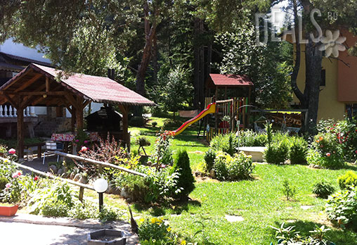 Кълвачеви 3* - снимка - 19