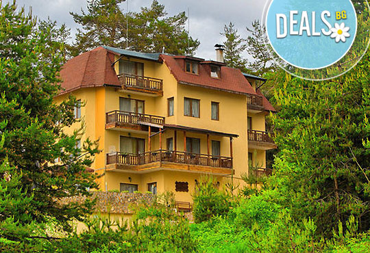 Слънчев цвят - Снимка