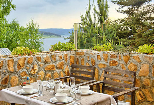 Слънчев цвят - снимка - 9