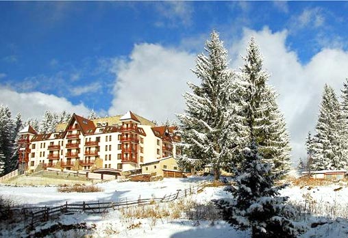 Pearl Lodge - снимка - 12