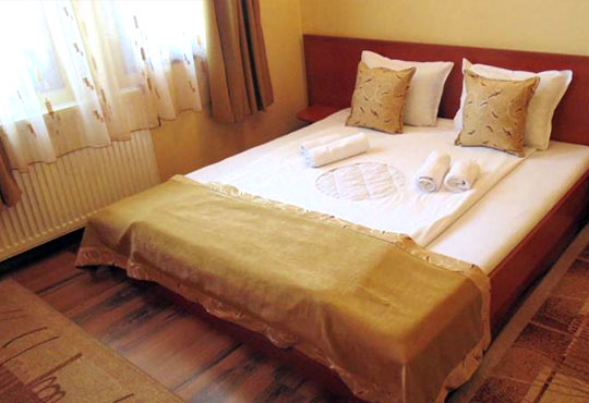 Двата бряста 2* - снимка - 2