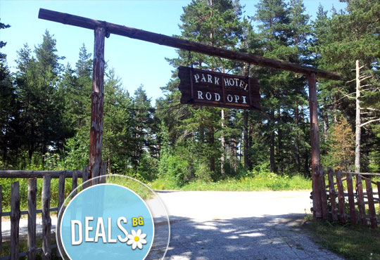 Парк-хотел Родопи 3* - снимка - 1