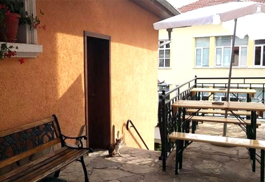 Търнава 3* - снимка - 12