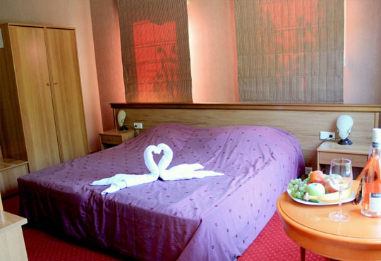 Алегро 3* - снимка - 4