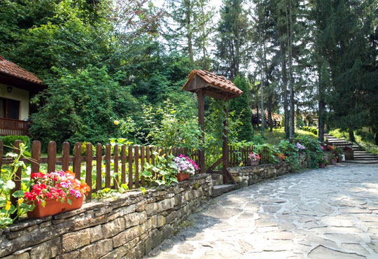 Бряста 3* - снимка - 12