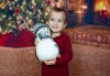 Kоледна фотосесия, семейна, детска или индивидуална, с много аксесоари в студио с Коледни декори и голяма елха, 30 обработени кадъра и подарък DVD! - thumb1 9