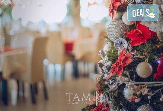 Посрещнете Нова година в Ниш с INVIZIA travel! 2 нощувки със закуски в Хотел Tami Residence 4*, 1 вечеря и празнична Новогодишна вечеря с жива музика и напитки, ползване на СПА центъра на хотела - Снимка 3