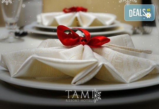 Посрещнете Нова година в Ниш с INVIZIA travel! 2 нощувки със закуски в Хотел Tami Residence 4*, 1 вечеря и празнична Новогодишна вечеря с жива музика и напитки, ползване на СПА центъра на хотела - Снимка 4