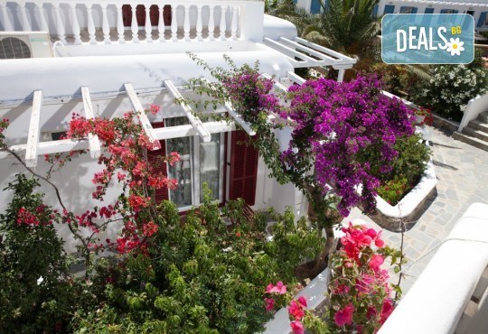 Почивка на остров Миконос - перлата на Цикладите! 4 нощувки със закуски, самолетен билет, салонен багаж и трансфер - Снимка 11