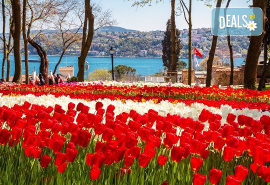 Посетете прелестния Фестивал на лалето в Истанбул с Рикотур! 2 нощувки със закуски в хотел 3*, транспорт и водач - Снимка 1