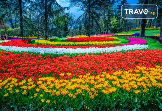 Супер цена за Фестивал на лалето през пролетта в Истанбул! 2 нощувки със закуски в Art Hotel 3*, транспорт и посещение на Одрин - Снимка 2