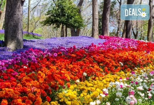 Супер цена за Фестивал на лалето през пролетта в Истанбул! 2 нощувки със закуски в Art Hotel 3*, транспорт и посещение на Одрин - Снимка 4