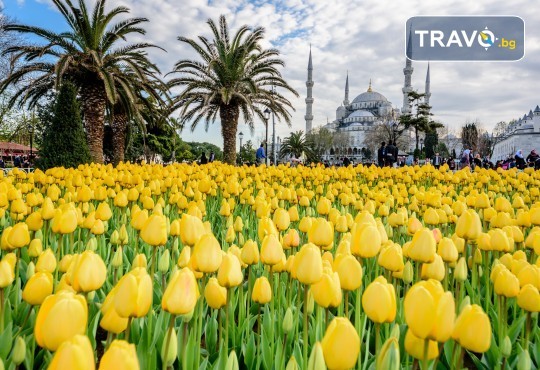 Фестивал на лалето в Истанбул през април! 2 нощувки със закуски в хотел 3*, транспорт, водач и посещение на Одрин - Снимка 3
