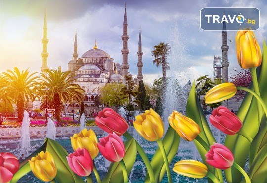 Фестивал на лалето в Истанбул през април! 2 нощувки със закуски в хотел 3*, транспорт, водач и посещение на Одрин - Снимка 1