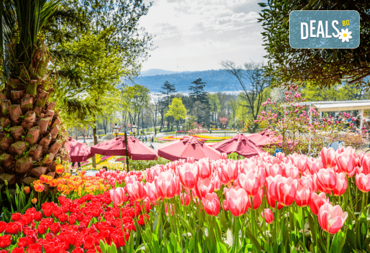 Фестивал на лалето в Истанбул през април! 2 нощувки със закуски в хотел 3*, транспорт, водач и посещение на Одрин - Снимка 2