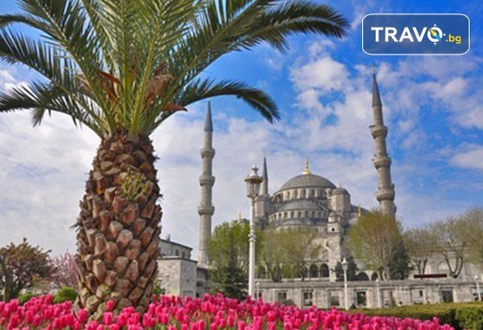 Екскурзия до Истанбул за Фестивала на лалето през пролетта! 2 нощувки със закуски в хотел 3*, транспорт и посещение на църквата Свети Стефан - Снимка 1