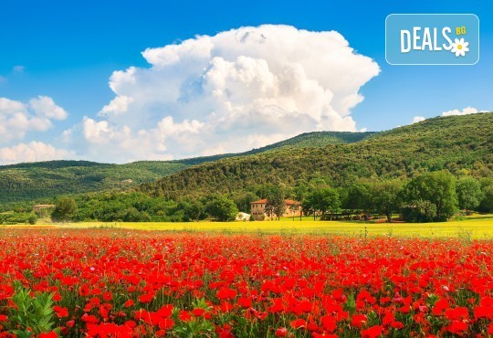 Романтика в Тоскана през май или септември! 5 нощувки със закуски, транспорт, билет за о. Елба и дегустация на вино в Монтепулчано - Снимка 3