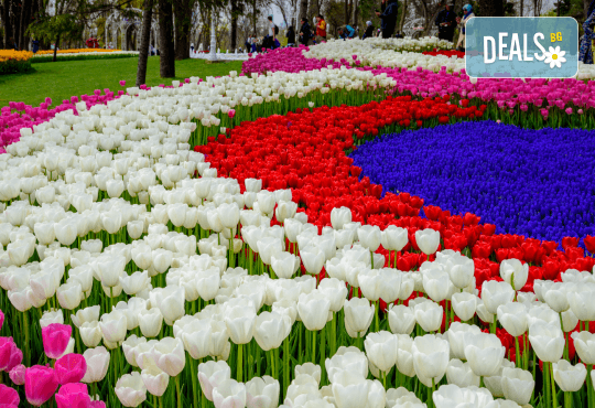 Фестивал на лалето през март или април в Истанбул! 2 нощувки със закуски в Courtyard By Marriott Istanbul International Airport 4*, транспорт от Русе, В. Търново и Казанлък - Снимка 1
