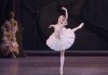 Ексклузивно в Кино Арена! Гледайте балета Спящата красавица, спектакъл на Кралската опера в Лондон, на 12, 14 и 16.02. в кината в София и страната - thumb 2
