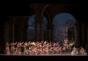 Ексклузивно в Кино Арена! Гледайте балета Спящата красавица, спектакъл на Кралската опера в Лондон, на 12, 14 и 16.02. в кината в София и страната - thumb 3