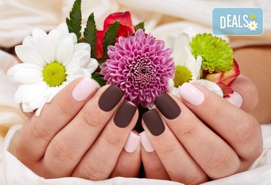 Изграждане на ноктопластика с гел и маникюр с гел лак или поддръжка на ноктопластика в салон за красота Alex Nails! - Снимка 1