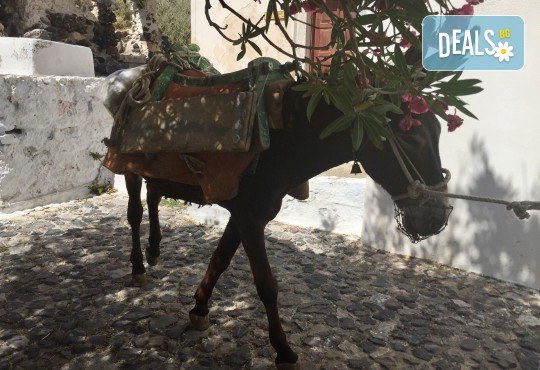 Романтична почивка през лятото на остров Санторини! 4 нощувки със закуски в хотел 3*, транспорт и водач от Данна Холидейз - Снимка 9