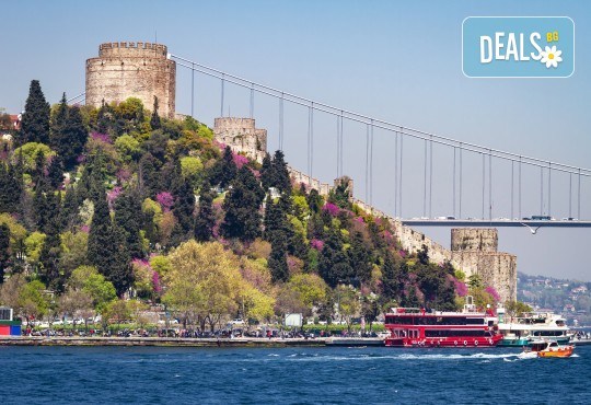 Екскурзия до Истанбул за Фестивала на лалето! 2 нощувки със закуски в хотел 4*, транспорт, водач и шопинг в Одрин и Чорлу - Снимка 7