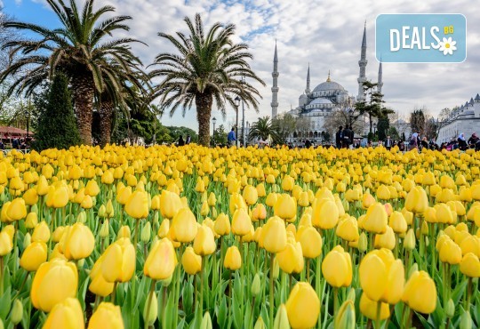Фестивал на лалето през април в Истанбул! 2 нощувки със закуски в Golden Tulip Istanbul Bayrampasa 5*, транспорт, посещение на Принцови острови и трансфер до Емирган парк - Снимка 3
