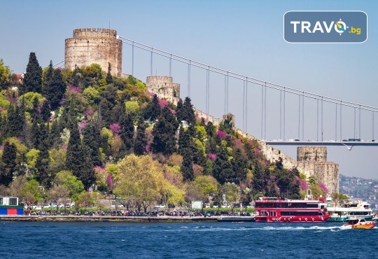 Екскурзия до най-известните места на Турция - Истанбул, Кападокия, Анкара и Анталия! 7 нощувки със 7 закуски и 5 вечери, автобусен транспорт, самолетен билет, такси и багаж - Снимка 12