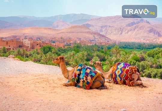 Ранни записвания до 28.02.! Самолетна екскурзия до Мароко с 4 нощувки със закуски и вечери, билет и трансфери, посещение на Маракеш, Казабланка, Танжер и Рабат - Снимка 4