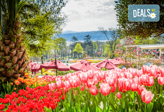 Фестивал на лалето в Истанбул с АБВ Травелс! 4 нощувки със закуски и транспорт, пешеходен тур, посещение на Емирган парк и престой в Одрин - Снимка 2