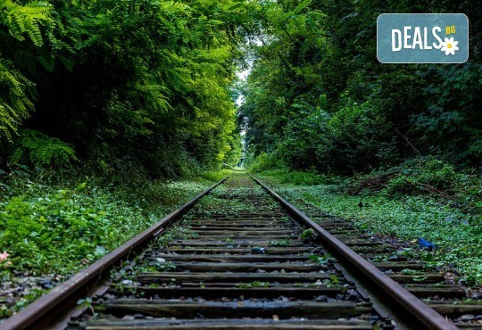 На разходка с родопска теснолинейка от Велинград до Разлог! Транспорт и екскурзовод от Глобул Турс - Снимка 2