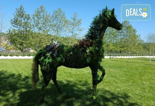 Билет за Фестивала на виното в замъка Влюбен във вятъра край Созопол през юли - Снимка 6