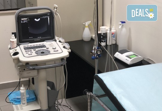 Вземете пакет ехография на коремни органи с 50% отстъпка от МЦ Хелт! - Снимка 2