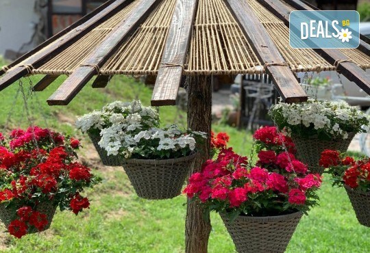 Уикенд в Етно село Срна в Сърбия! 1 нощувка със закуска и богата вечеря с жива музика, транспорт и ползване на басейн - Снимка 9