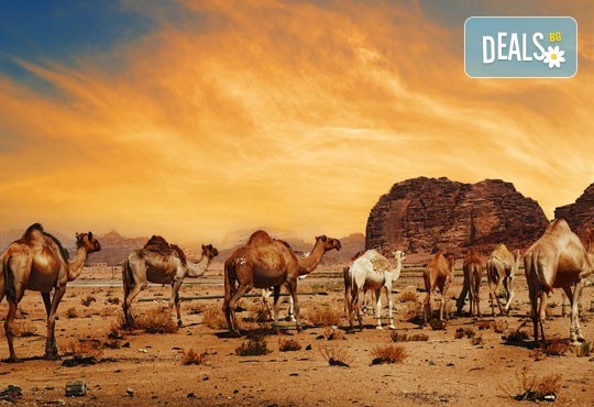 Екзотична екскурзия до Йордания през есента! 4 нощувки със закуски и вечери в хотел 3*/4*, самолетен билет и трансфери, посещение на Петра и джип сафари в пустинята Вади Рум - Снимка 7