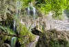 Еднодневна екскурзия на 18.07. до Деветашката пещера и Крушунските водопади с транспорт от Плевен и водач - thumb 3
