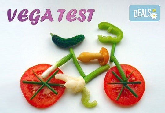 Вега тест на 199 храни и алергени и консултация в NSB Beauty Center - Снимка 1