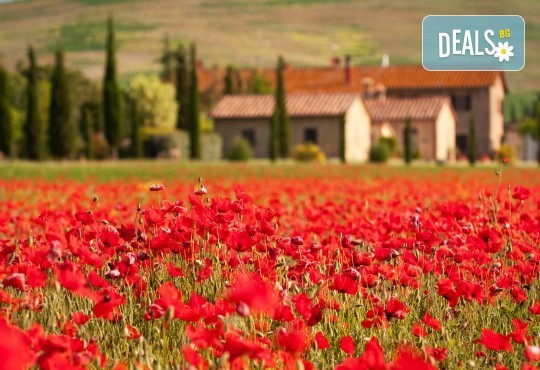 Самолетна екскурзия до Тоскана! 4 нощувки със закуски и вечери, билет с летищни такси, възможност за посещение на Чинкуе Терре, Пиза и Флоренция - Снимка 3