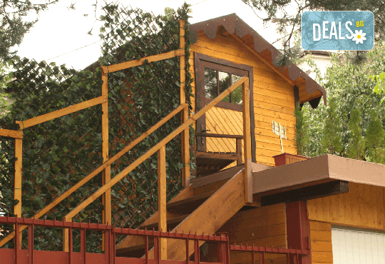 Заредете се с положителна енергия и здраве от пчелите! Апитерапия в Пчелна къща Bee bed с 30% отстъпка! - Снимка 7