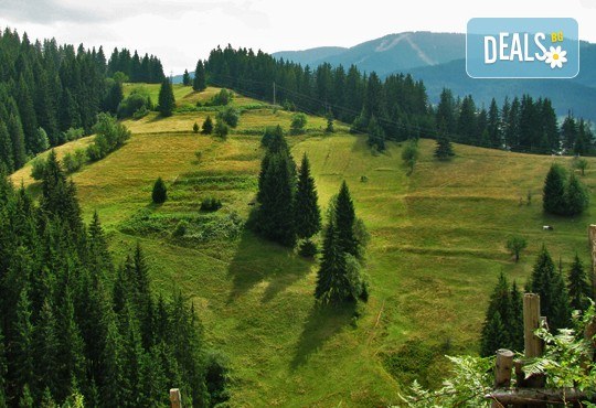 По следите на Орфей в Родопите! 1 нощувка със закуска и вечеря в хотел 3* в Пампорово, транспорт и посещение на Дяволското гърло - Снимка 3